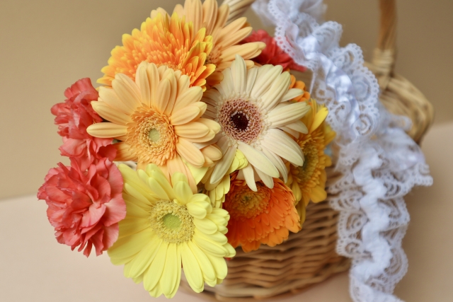 鹿児島の弁護士事務所 鹿児島シティ法律事務所 今月の写真